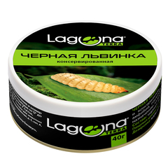 Laguna Terra черная львинка консервированная, 40г