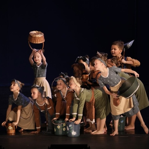 Индивидуальный пошив костюма для танцевального коллектива