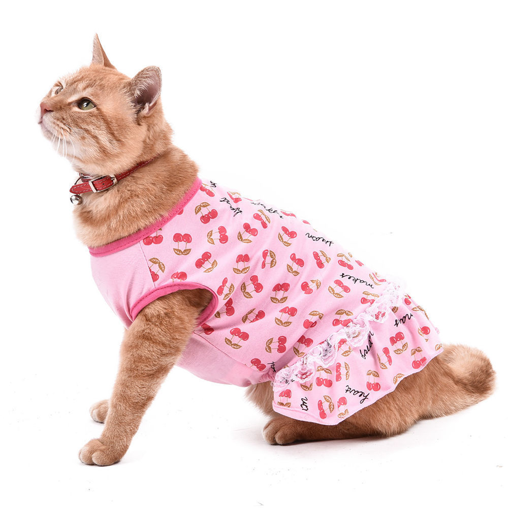 Платья для котят