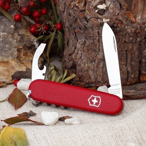 Нож складной Waiter EcoLine Victorinox (2.3303)