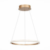 Светильник подвесной ST Luce ST604.243.22