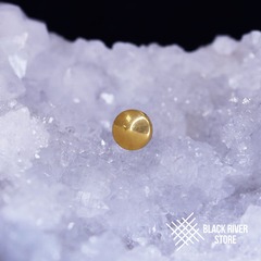 Round v.2 IG PVD Yellow