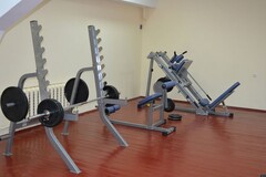 Стойка для приседа Aerofit IFSS