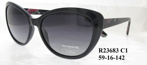 R23683