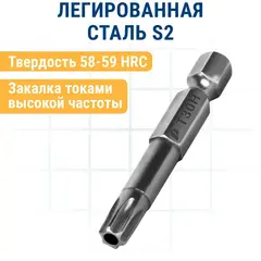 Бита отверточная ПРАКТИКА Профи Torx Tamper-30 х 50мм (2шт) (776-485)