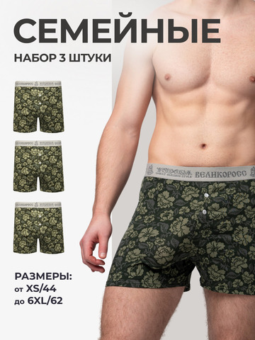 Комплект из 3-х семейных трусов - «Зелёная хохлома»