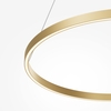 Подвесной светильник Maytoni Rim MOD058PL-L42BSK