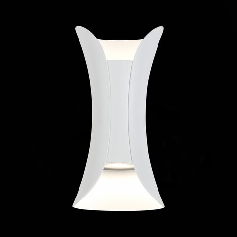 Светильник уличный ST Luce Cosetto SL1584.501.01