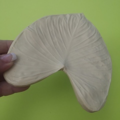 молд антуриум МЛ59