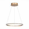 Светильник подвесной ST Luce ST604.243.22