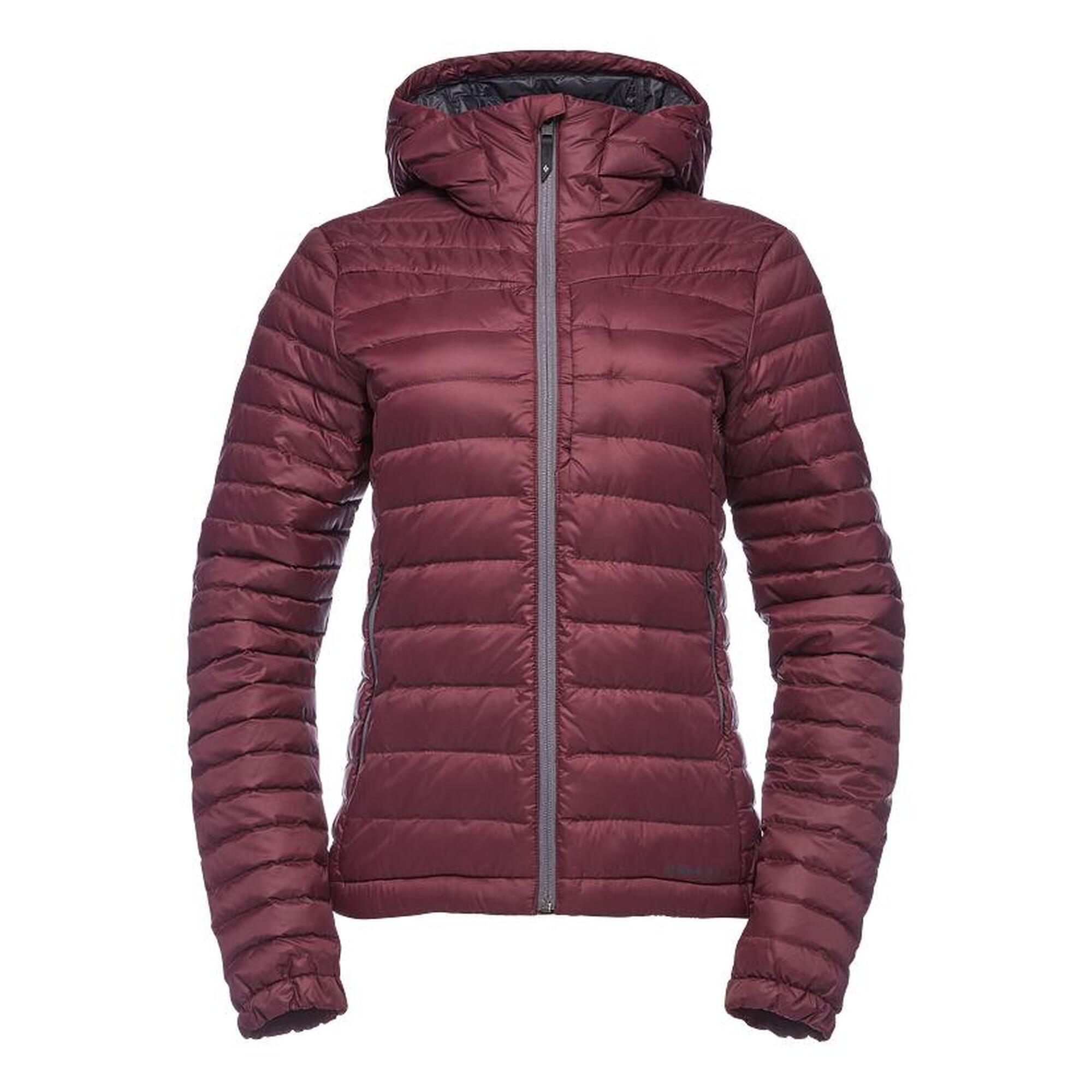 Auth hoody hotsell
