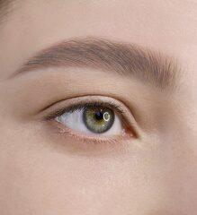 LuxVisage Гель-тинт для бровей водостойкий BROW TINT waterproof 24H тон 101 Taupe 5г