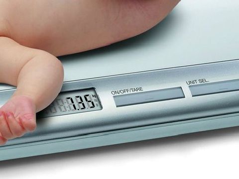 Весы для новорожденных Laica PS3001 напрокат