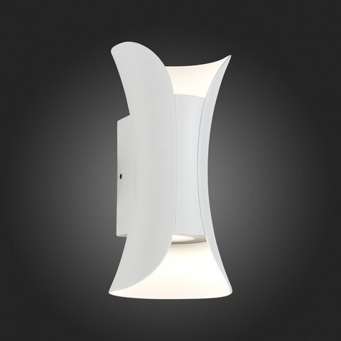 Светильник уличный ST Luce Cosetto SL1584.501.01