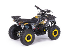 Детский бензиновый квадроцикл MOTAX ATV Х-16 ES Мини-Гризли BIG WHEEL с электростартером и родительским контролем NEW