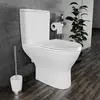 Damixa 468600SC Palace Grand унитаз-компакт без ободка с сиденьем микролифт