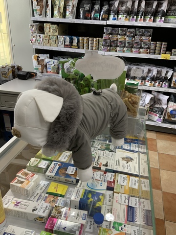 Royal Dog комбинезон зимний Elegant Premium серый S,M,L