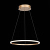 Светильник подвесной ST Luce ST604.243.22