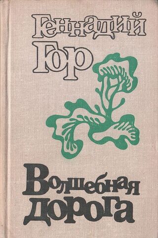 Волшебная дорога