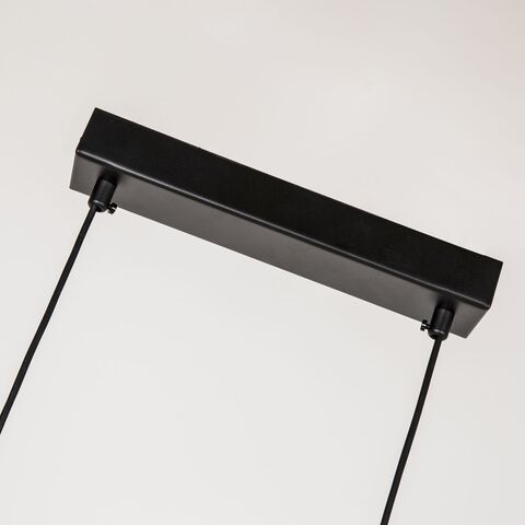 Подвесной светодиодный светильник Favourite Raya 4096-2P