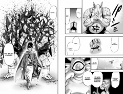 One-Punch Man. Книга 11