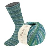 Пряжа Lana Grossa Landlust die Sockenwolle IV 810