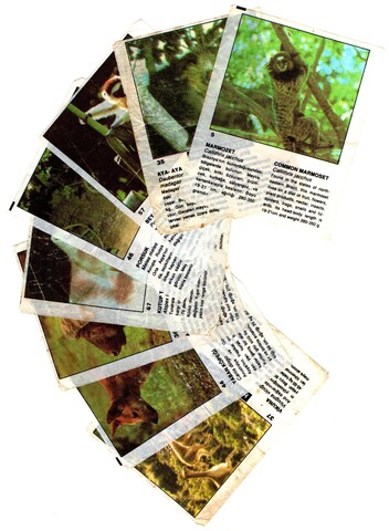 Вкладыши от жвачки Cin Cin - Чин Чин - Звери - 8 штук