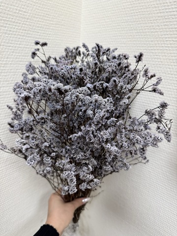 Лимониум стабилизированный Серо-голубая дымка