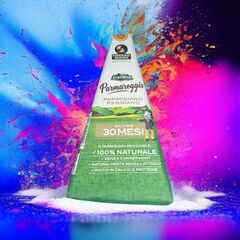 Пармиджано Реджано мышки 30 месяцев