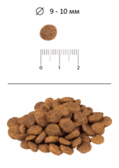 Blitz Puppy сухой корм для щенков (ягненок с рисом) 500 гр