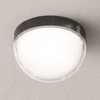 Потолочный светильник Maytoni Mon O438CL-L12GF3K
