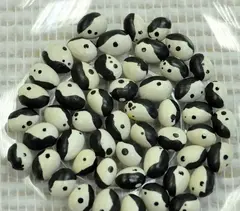 Фасоль черно - белая 1кг