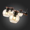 Люстра потолочная Evoluce Rasco SLE108102-08
