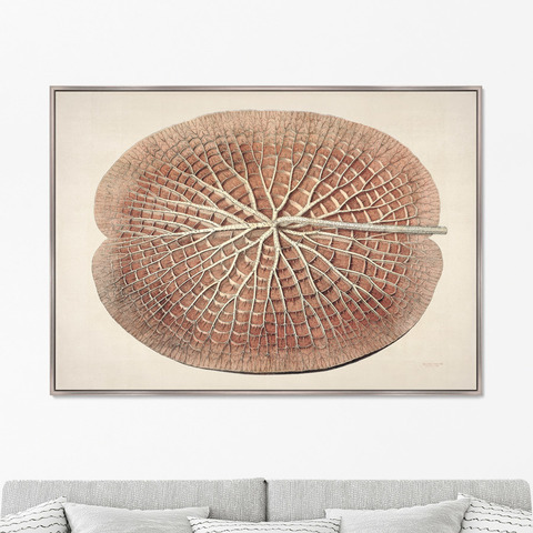 Уильям Шарп - Репродукция картины на холсте Leaf of a gigantic water lily, 1870г.