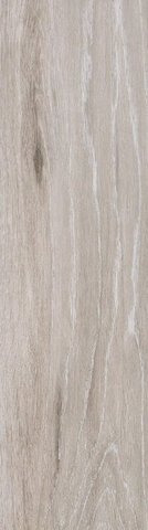 Exagres Forest Base Argent 22x85