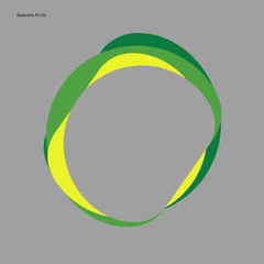Autechre / PLUS (2LP)