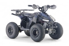 Детский электрический квадроцикл RiverToys LEON 1200W
