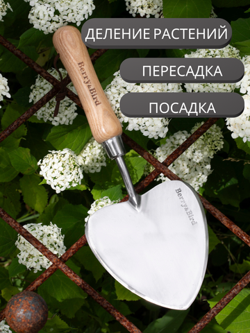 Совок садовый стальной для посадки, пересадки и деления многолетних растений Berry&Bird
