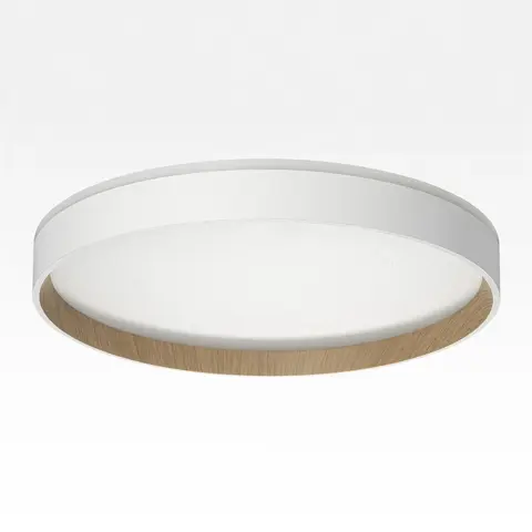 Потолочный светодиодный светильник Citilux Etalon CL750320R