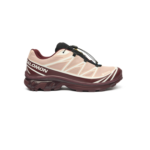Кроссовки Salomon XT-6 GTX "Mahogany Rose"