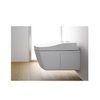 Крышка-биде Toto Neorest Washlet AC 2.0 TCF996RWG