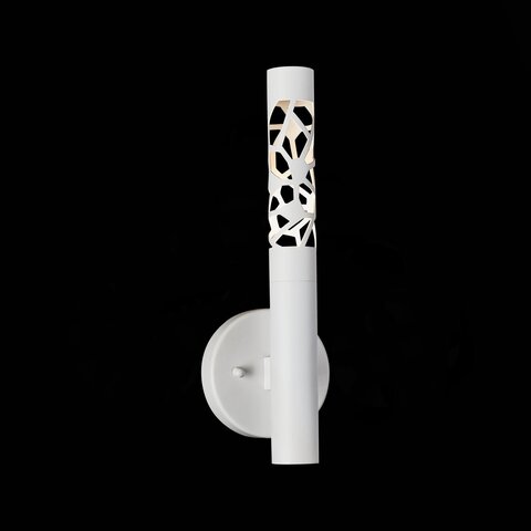 Светильник настенный ST Luce Fizorio SL1577.501.01