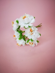 Цветы декоративные. Яблонька