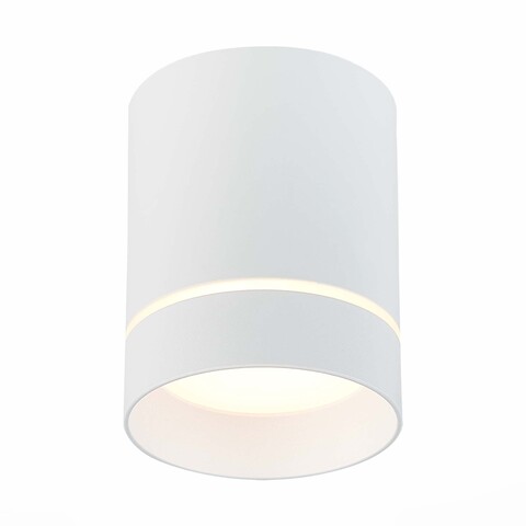 Светильник потолочный ST Luce ST115.532.12