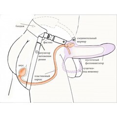 Анальный фиксатор + мужской фаллопротез на каркасе MEN STYLE