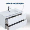 Aquanet 306165 Тумба с раковиной Алвита new 90 2 ящ. цв.белый матовый (306165)