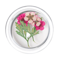 Irisk Сухоцветы в баночке (104)