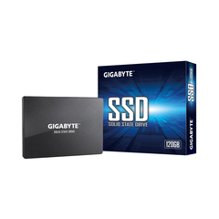 Твердотельный накопитель внутренний Gigabyte GSTFS31120GNTD