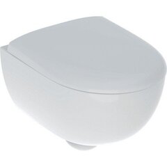 Подвесной унитаз Geberit Renova Compact, с укороченным вылетом, закрытая форма, Rimfree: T=49см, Белый фото