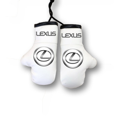 Перчатки боксерские комбинированные "Lexus", белые с черным